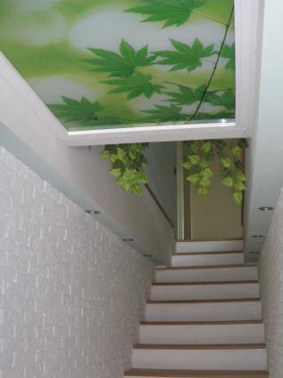 Image Sale house calig  1