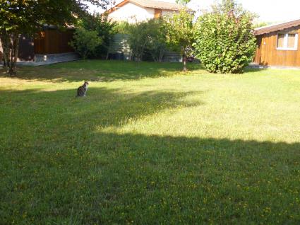 Image Sale house arcachon  1