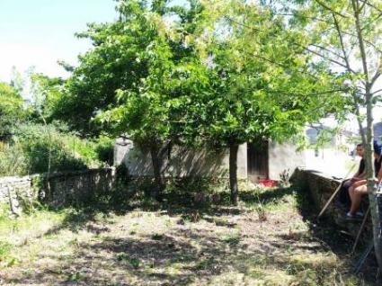 Image Sale land 11170 carcassonne 0