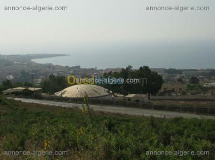 Image Sale land cherchell w.tipaza  1