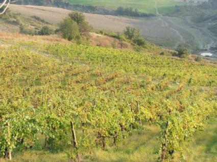 Image Sale farm cesena forli-cesena 1