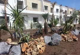 Image Sale house sidi rahal  1