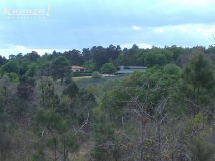 Image Sale land la genétouze angoulême 1