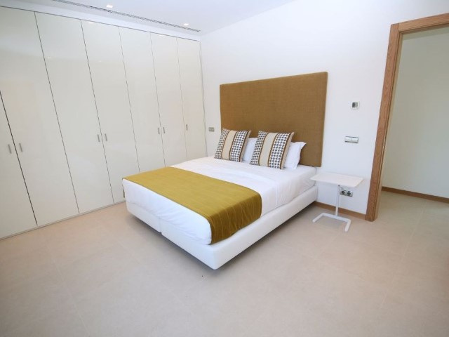 Image Rent apartment tlemcen  1