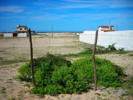 Image Sale land taiba fortaleza 1