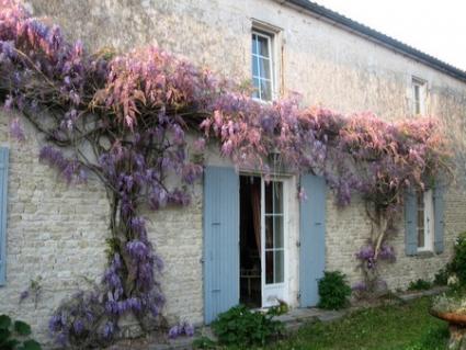 Image Sale house saint christophe la rochelle 1