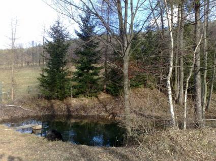 Image Sale farm rabe  1