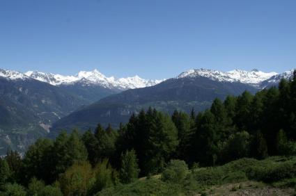 Image Sale apartment crans-montana  1