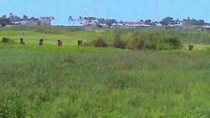 Image Sale land cotonou  1