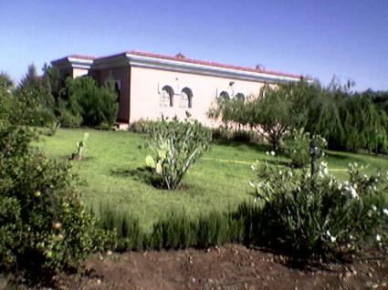 Image Sale farm benslimane ben slimane 1