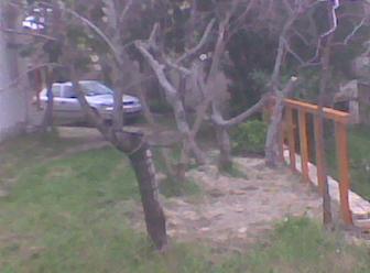 Image Sale house pescara pescara 1