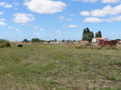 Image Sale land nieulle sur seudre  1