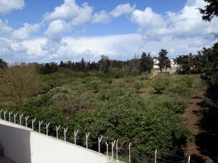 Image Sale villa gammarth  1