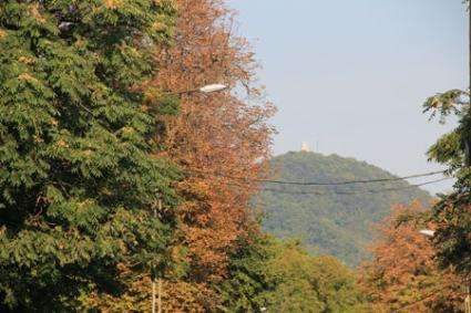 Image Sale apartment budapest  7