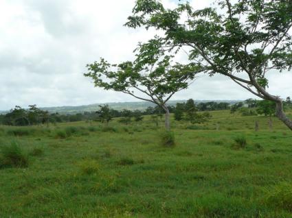 Image Sale land payita  2