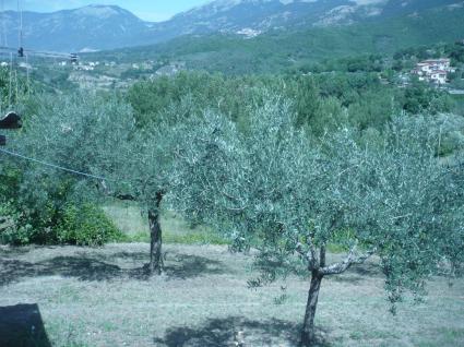 Image Sale house picinisco frosinone 5