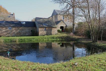 Image Sale house saint gildas des bois  3