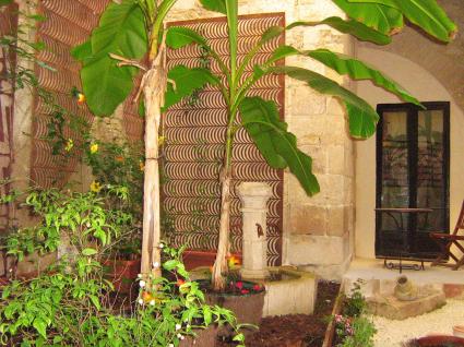 Image Sale building sommieres  4