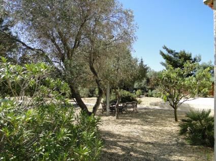 Image Sale villa la palme  6