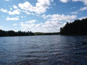 Image Sale house rawdon / chertsey  4