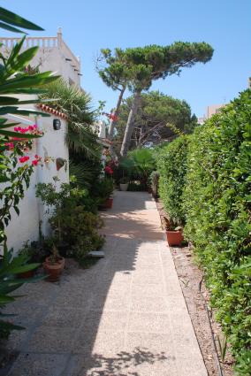 Image Sale villa la manga del mar menor la manga del mar menor 4