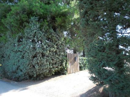 Image Sale farm capalbio grosseto 0