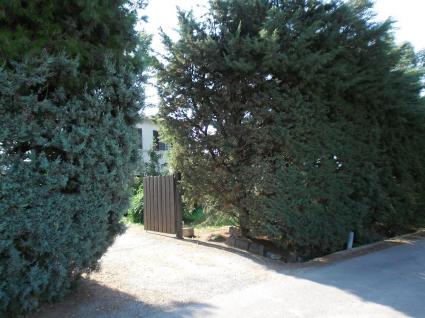 Image Sale farm capalbio grosseto 1