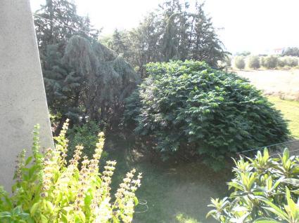 Image Sale farm capalbio grosseto 3