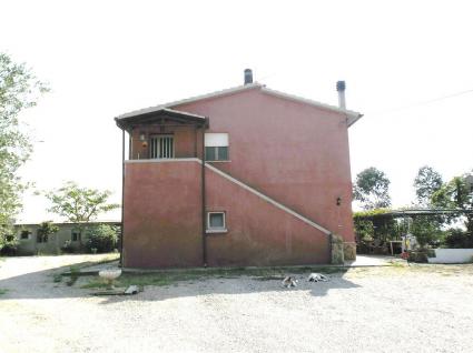 Image Sale farm pescia romana viterbo 0
