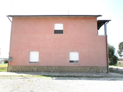 Image Sale farm pescia romana viterbo 1