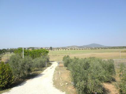 Image Sale farm pescia romana viterbo 3