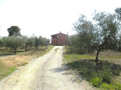 Image Sale farm pescia romana viterbo 5