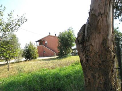 Image Sale farm pescia romana viterbo 6