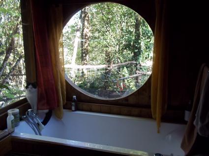 Image Sale chalet auriac du périgord périgueux 5