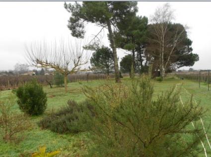 Image Sale house portets bourdeaux 2