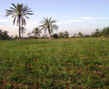 Image Rent house djerba medenine 4