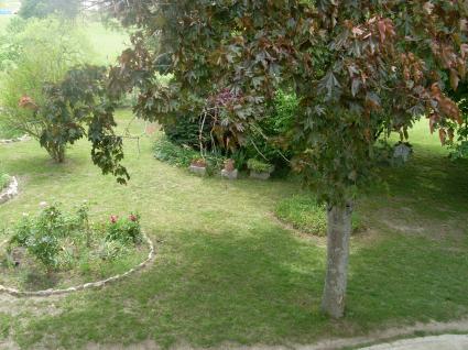 Image Sale house st  germain des pres  1