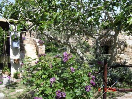 Image Sale villa bonifacio  3