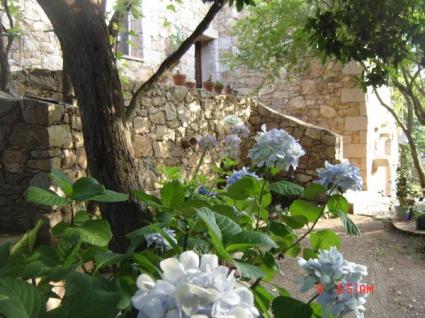 Image Sale villa bonifacio  6