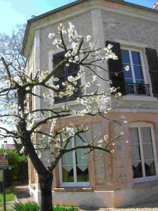 Image Sale house dole besançon 1