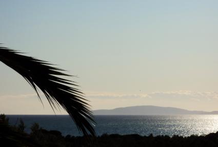 Image Sale villa follonica grosseto 1