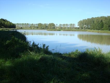 Image Sale farm ougney  2