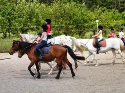 Image Rent gite la motte du caire 5