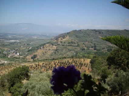 Image Sale house san pietro a maida catanzaro 6