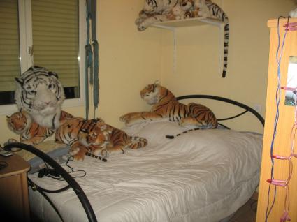 Image Sale house perpignan perpignan 6