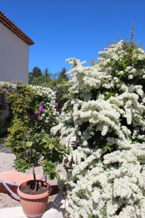 Image Rent house rï??gusse var  5