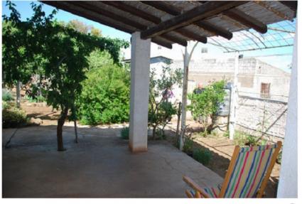 Image Sale farm abbasanta oristano 0