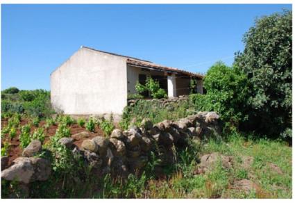 Image Sale farm abbasanta oristano 4