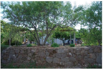 Image Sale farm abbasanta oristano 5