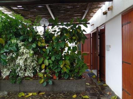 Image Rent apartment mandriola oristano 7